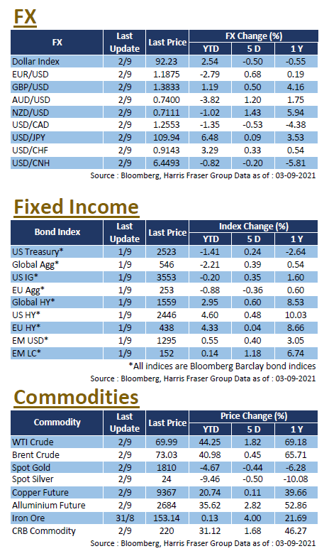 Weekly Insight Sep 3